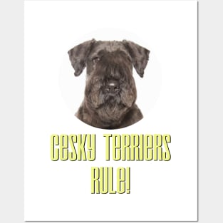 Cesky Terriers Rule! Posters and Art